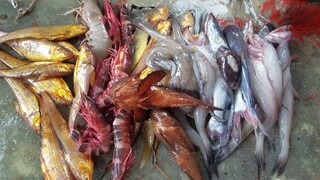 CÁ KHO ME • Nấu Ăn Bữa Cơm Trên Ghe | Ngư Dân Miền Tây