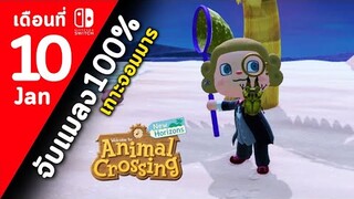 Animal Crossing เกาะจอมมาร#10 (ม.ค.)