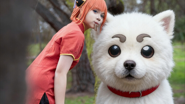 محل كلّ الأغراض، كاغورا حاضر!