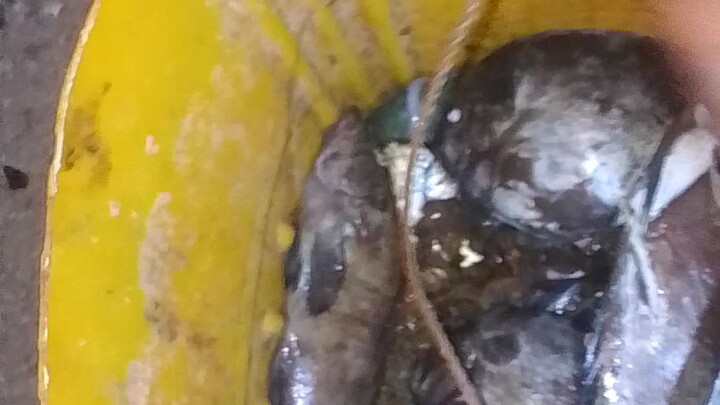 grabe swerte ko nga yung gabe mag idol 🤗