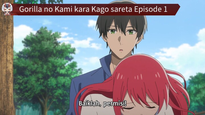 Gorilla no Kami kara Kago sareta Episode 1 Sub Indo