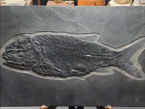 What happens the moment you crack open a stone?