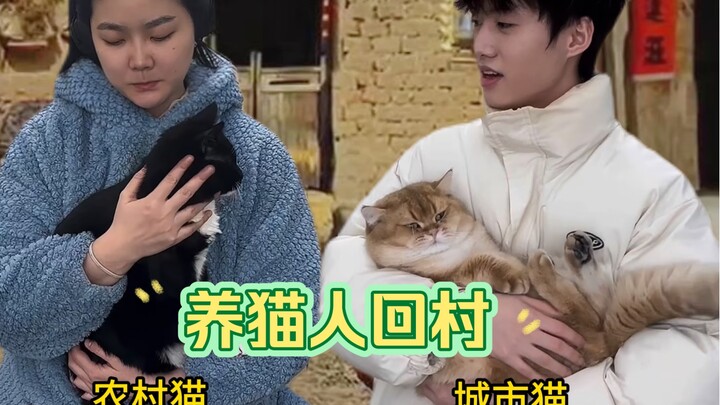 عندما يعود مربي القطط إلى القرية...