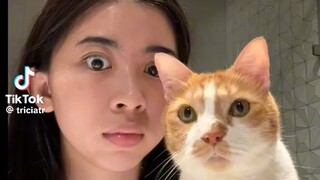 Cat thief