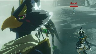 Revali VS Revali - Hyrule Warriors: Age of Calamity