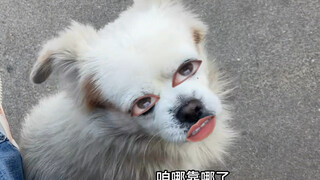 ฉันแค่อยากลองสัมผัสว่าการมีเจ้านายเป็นยังไงเท่านั้น