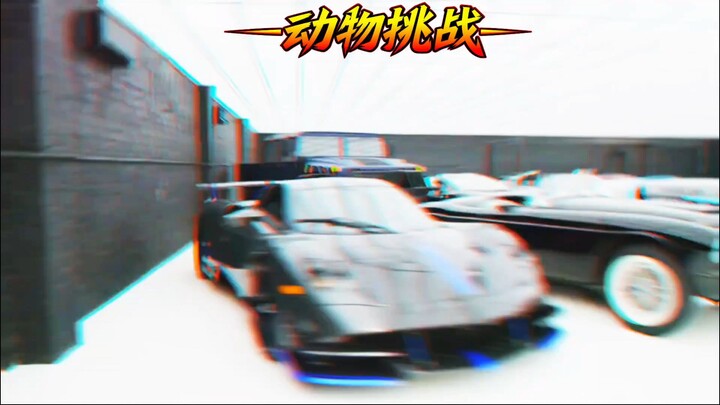 MrBeast 的超酷豪车收藏挑战！🚗🔥🏆