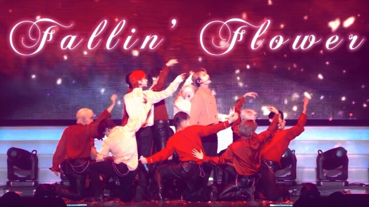 【SEVENTEEN】“Dù chỉ là khoảnh khắc ngắn ngủi trong đời, ta vẫn nguyện bay về phía em” Fallin' Flower/