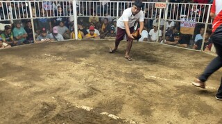 Gilmorexsweater vs sbr (win)