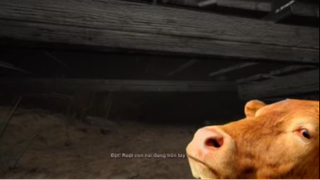 Dân Làng Này Muốn Xích Tôi  #giaitri