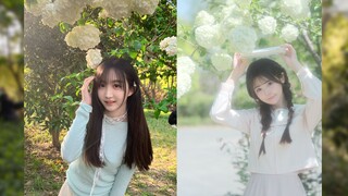 Spring Romantic White Hydrangea 💐xhs Update 25.04.07 [Zhang Yi/Yan Qin]