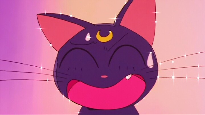 First Meeting Usagi and Luna