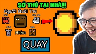 Tôi Tự Làm Sở Thú Để Trả Tiền Thuê Nhà...