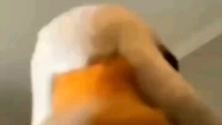 oi!