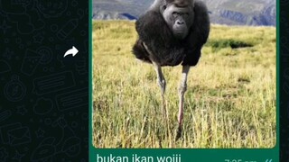 FUNNY TEKA TEKI LAWAK