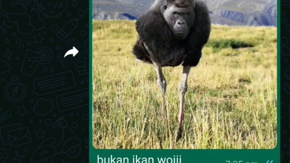FUNNY TEKA TEKI LAWAK
