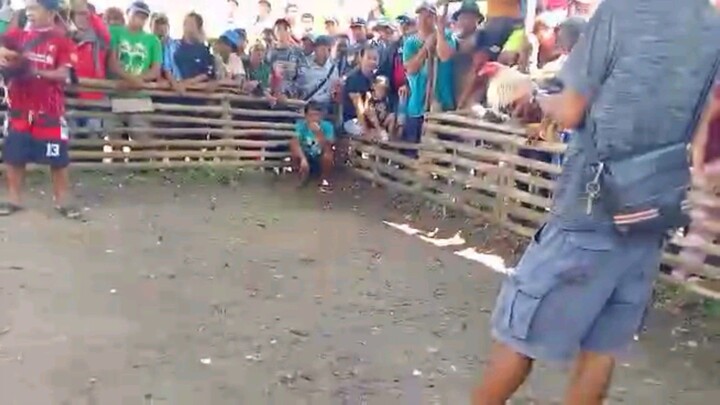 One hit delete 💪🐓