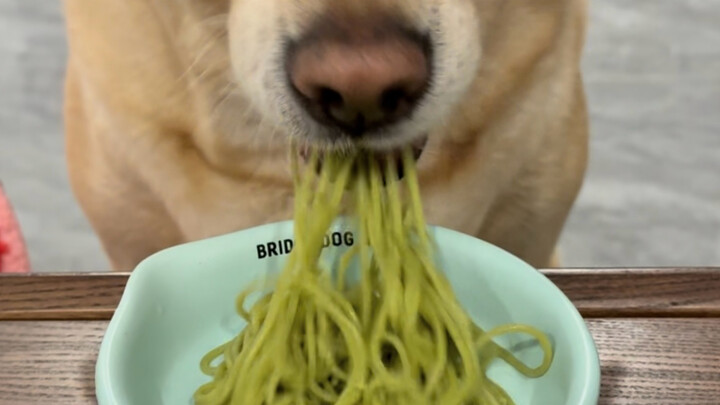 I hear you’re a ramen-loving duck too?!