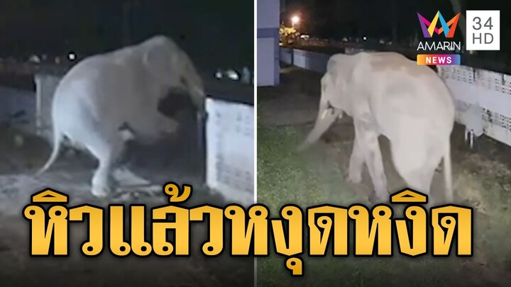 ช้างขี้หงุดหงิด! โมโหหิวบุกพังประตูรั้วโรงเรียน | ข่าวอรุณอมรินทร์ | 6/8/67