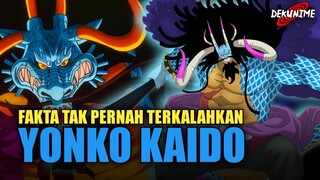 OVER POWER SEKALI! TIDAK ADA YANG BISA KALAHKAN KAIDO 20 TAHUN LALU?