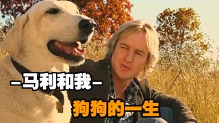 "Marley and Me" A dog's life, a lifetime of companionship.