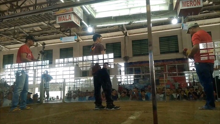 2 hits ulutan-1st fight win
