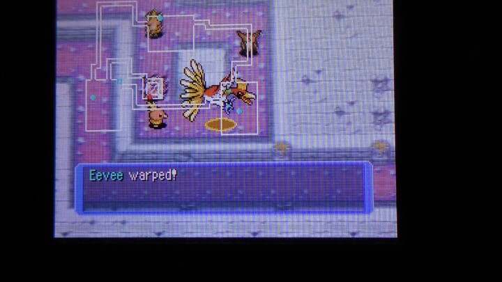 The hell of recruiting Eevee in Pokemon Mystery Dungeon