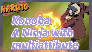 Konoha A Ninja with multiattibute