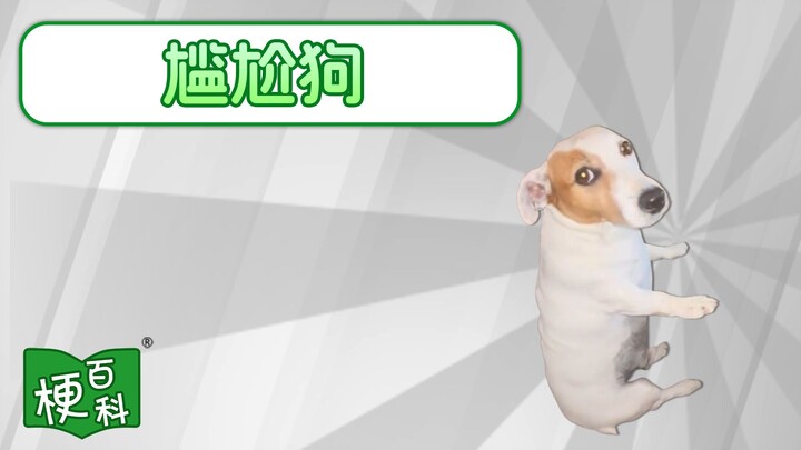 [Internet Slang Encyclopedia] What’s the “Awkward Dog” meme?