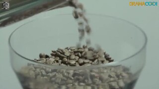 My Dear Cat Episode 111