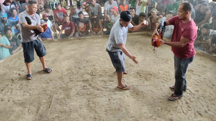 first fight loss my sweater