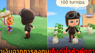 หาเงินจากการลงทุนเก็งกําไรหัวผักกาด Animal Crossing