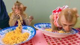 Snack Time!! Wow, Unbelievable tiny Toto & Yaya really love eating noodles so much