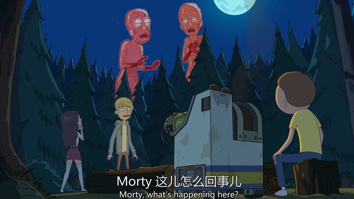 莫蒂 这到底是怎么回事