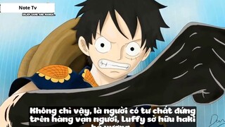 Top 7 Người Dùng Được 3 Loại Haki Trong One Piece #19- 6