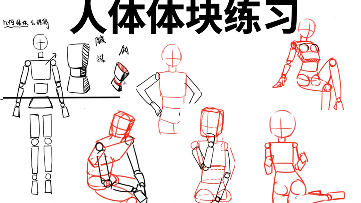 A block-based practice method perfect for beginners learning human anatomy!!