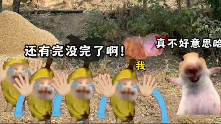เมื่อฉันเป็นเครื่องกระตุ้นหัวใจไฟฟ้าแต่กำเนิด