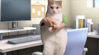 [Cat meme] Việc bỏ học và trở thành vup đã cứu mạng tôi