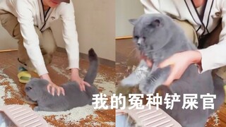 "Hatiku terluka oleh seekor kucing..." Mantra untuk membesarkan kucing yang bahagia akan menyelamatk