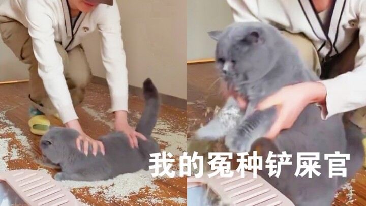 "Hatiku terluka oleh seekor kucing..." Mantra untuk membesarkan kucing yang bahagia akan menyelamatk