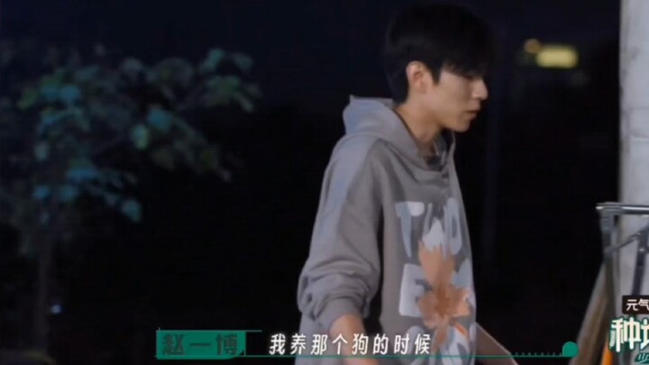 When Zhao Yibo is being innocent, even dogs are scared.