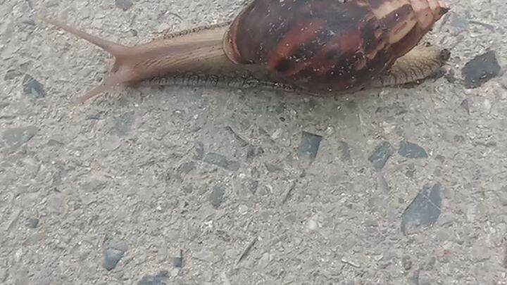 প্রথম জয়েন করলাম