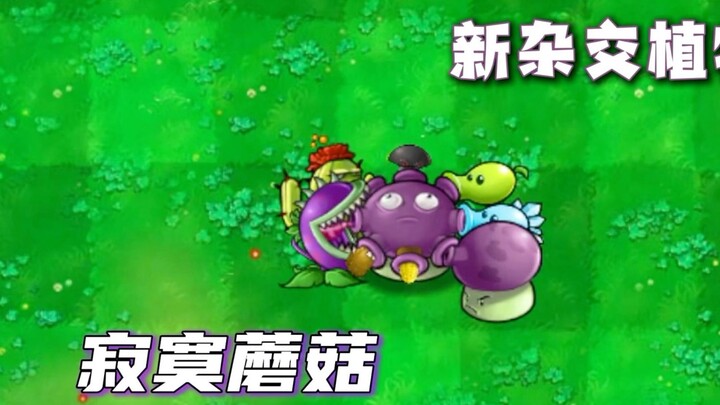 Thực vật lai mới: Nấm cô đơn