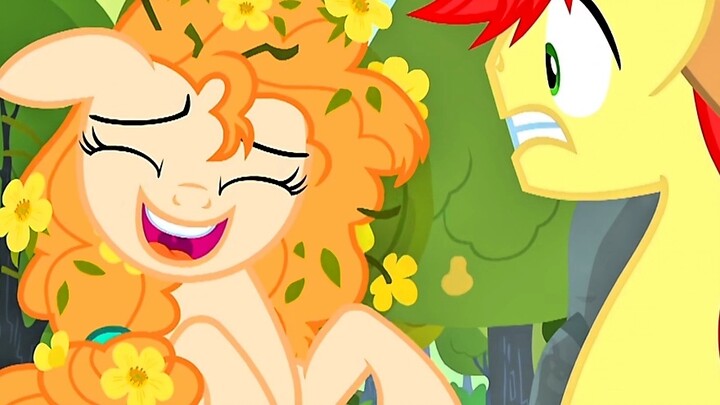 แอปเปิ้ลและลูกแพร์