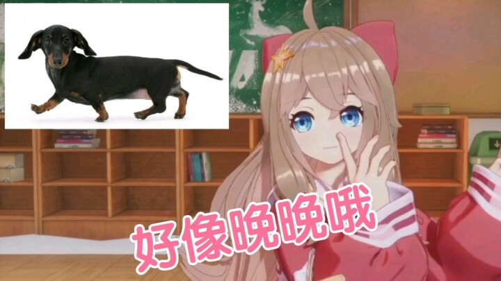 Ranbi định nghĩa lại "tự tìm kiếm" và bình luận về con chó xúc xích như Wanwan