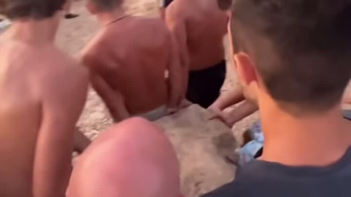 全吃了不知道有多补 系列 #2