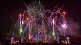 2020 (2022) Disney Cast Service Celebration Fireworks