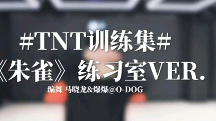 【“纯”路人】时代少年团朱雀练习室reaction 之细节动作分析