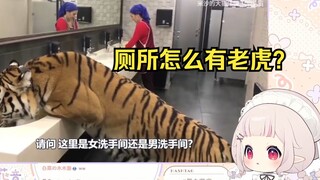 日本萝莉看《在洗手间里偶遇一只大老虎 该怎么办》看懵了