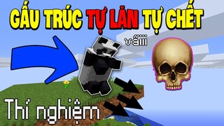 Gấu Trúc Tự Lăn Tự Chết - NHỮNG HIỆN TƯỢNG THÚ VỊ KHIẾN BẠN CƯỜI XỈU TRONG MINECRAFT #2